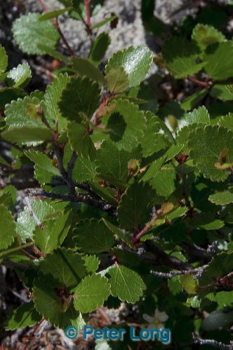 dsc_9678.jpg