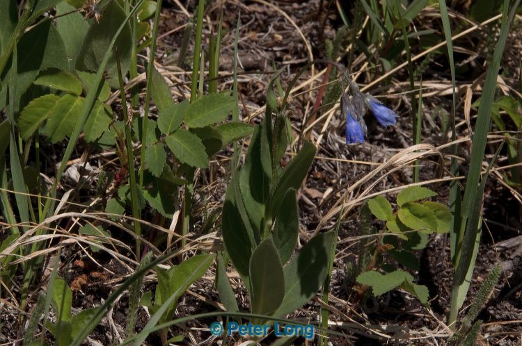 dsc_9735.jpg