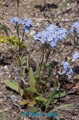 dsc_9737.jpg