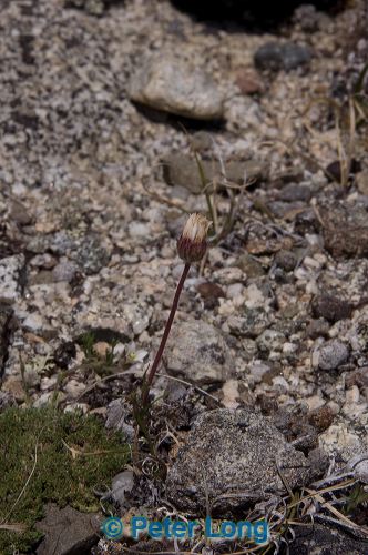dsc_9751.jpg