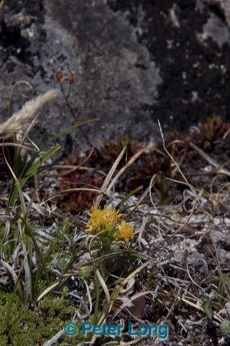 dsc_9753.jpg