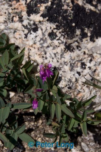 dsc_9773.jpg