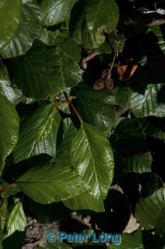 dsc_9881.jpg