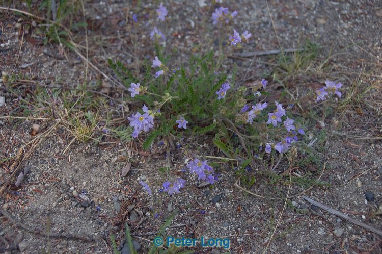 dsc_9891.jpg