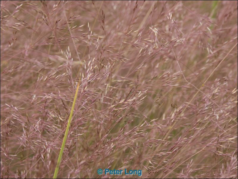 pict9484.jpg