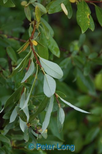 dsc_8973.jpg