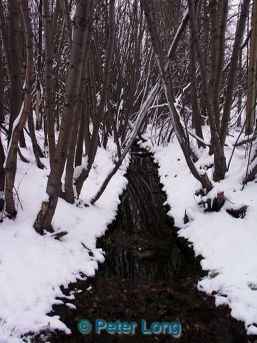 0002050_p2946.jpg