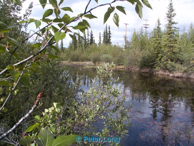 0004978_p0942.jpg