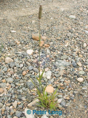 pict8294.jpg