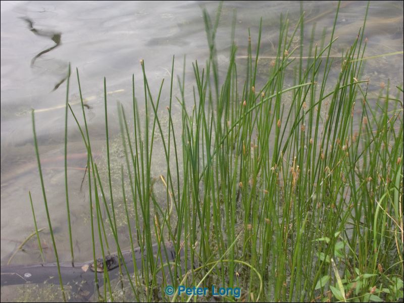 pict0411.jpg