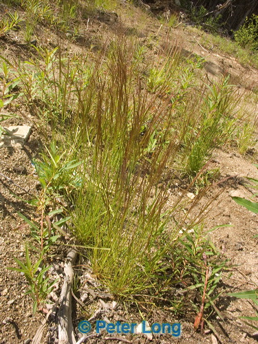 pict8459.jpg
