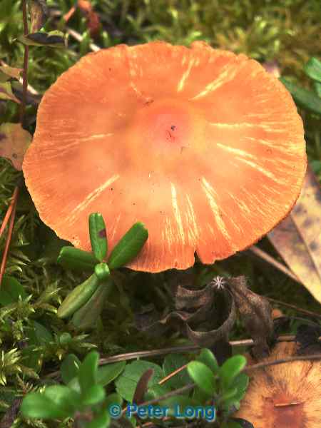 0001715_p2104.jpg