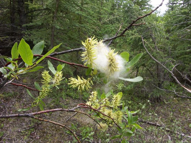 0016721_p2091.jpg