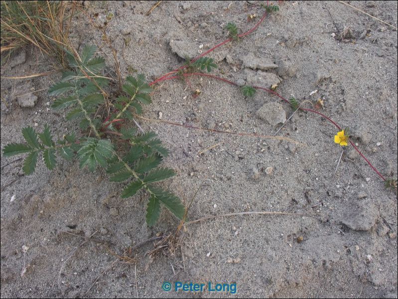 pict0905.jpg
