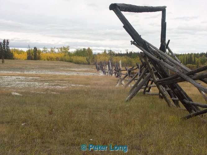 0035665_p6760.jpg