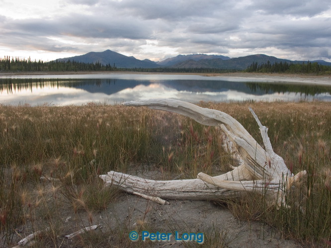 pict0906.jpg