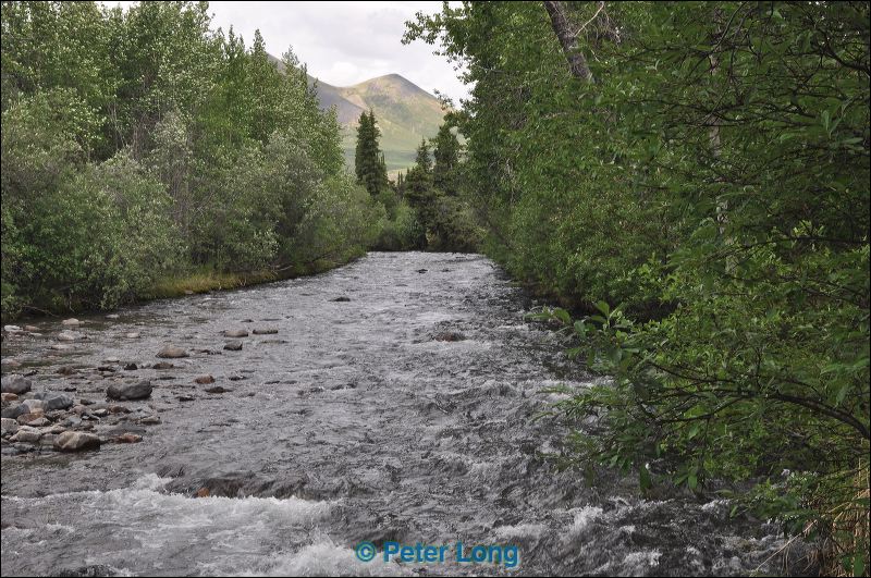 dsc_1465.jpg