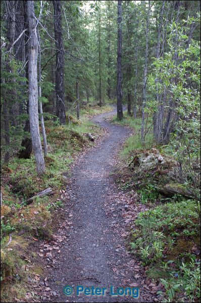 dsc_1594.jpg