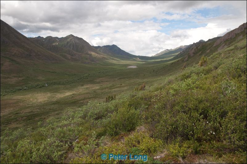 dsc_1779.jpg