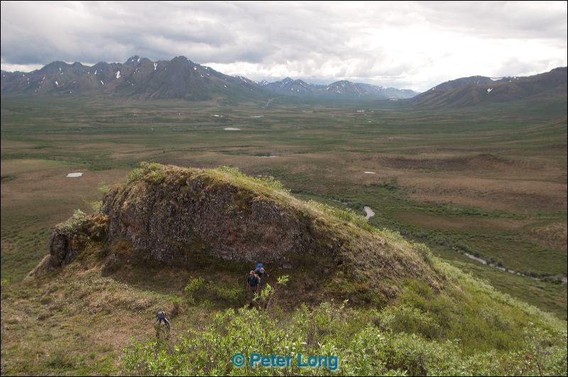 dsc_1782.jpg
