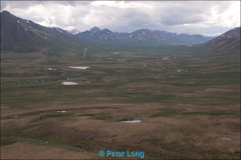 dsc_1794.jpg