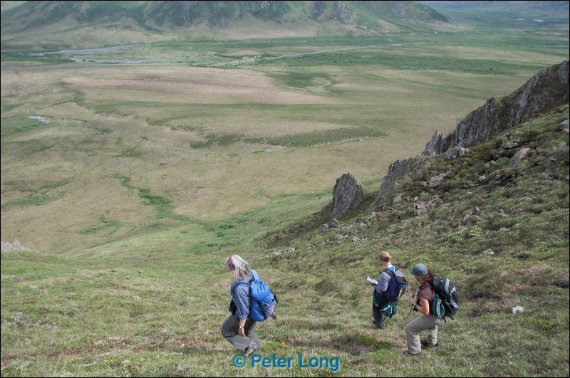 dsc_1985.jpg